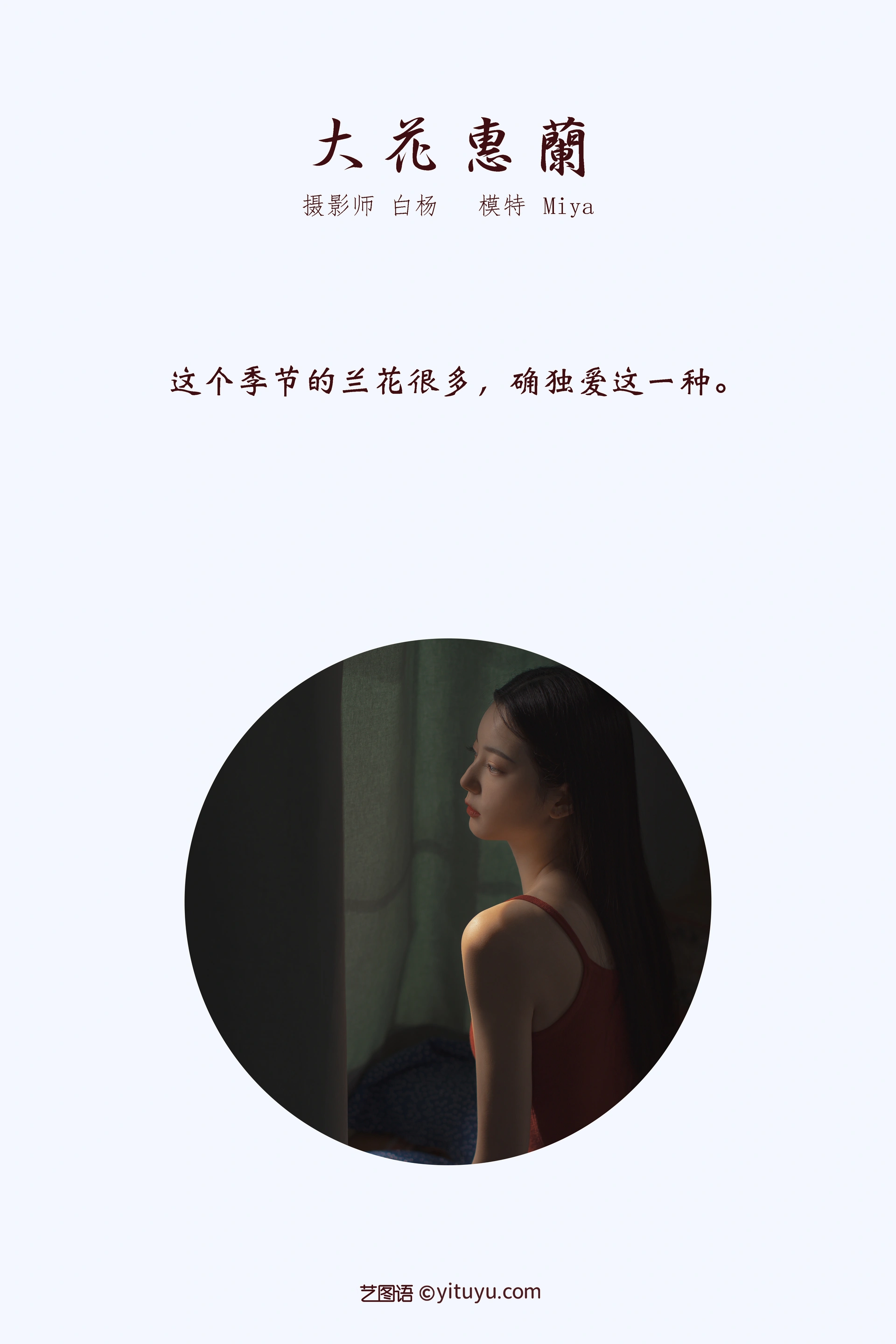 [YITUYU艺图语]2022.01.03 大花蕙兰 Miya怡君 1